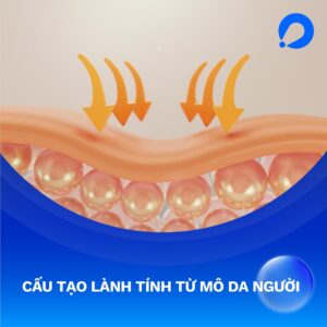 Khái niệm và cấu tạo đặc biệt của miếng độn sinh học